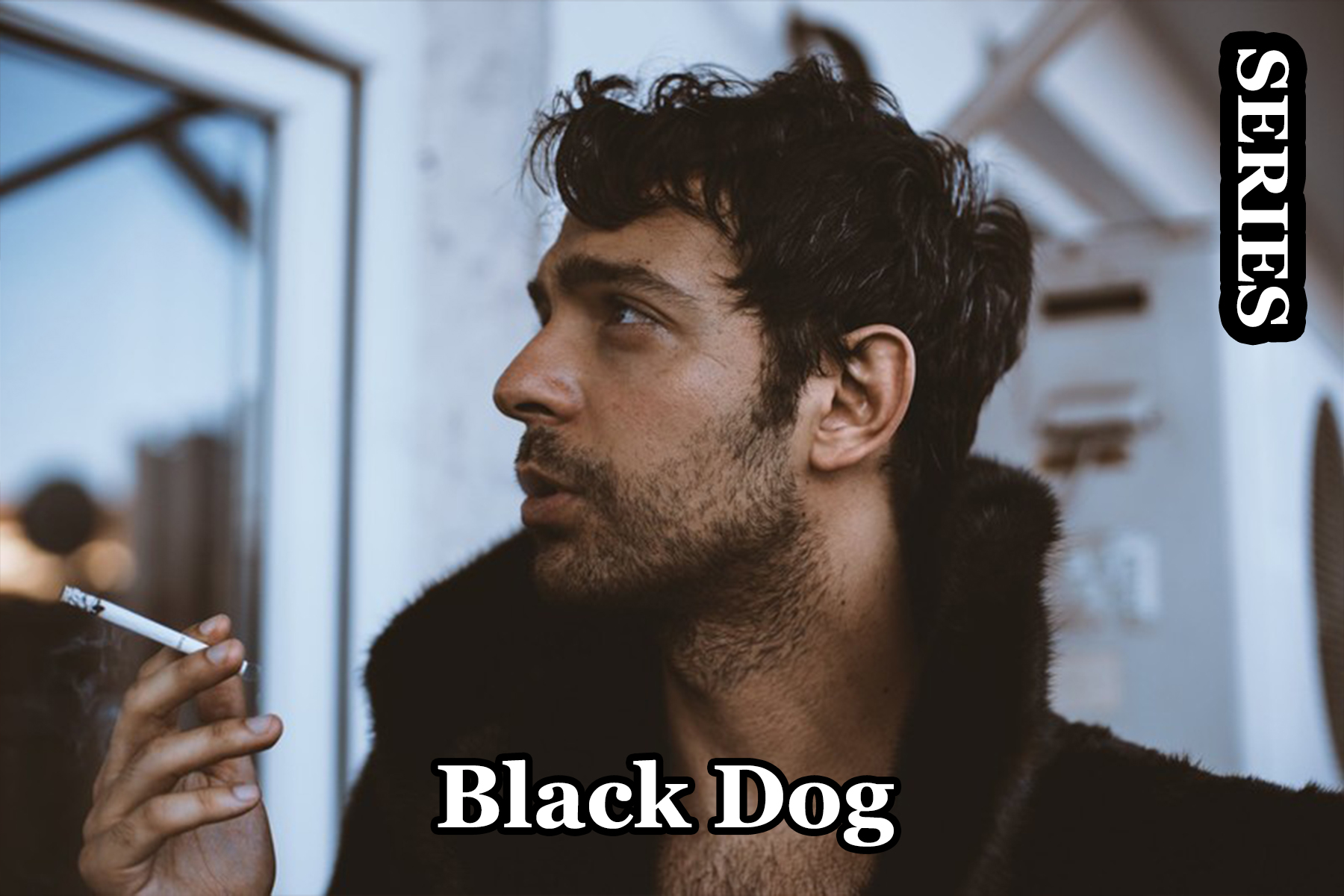 Black Dog