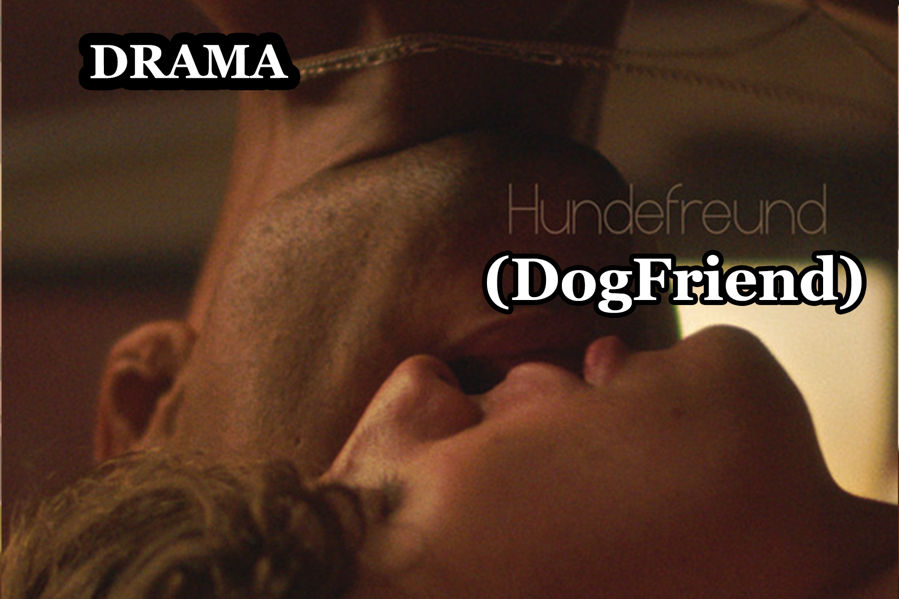 DogFriend